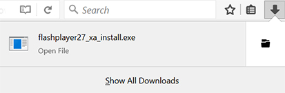 flash video downloader extension